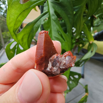 Red Quartz from Morocco #7i