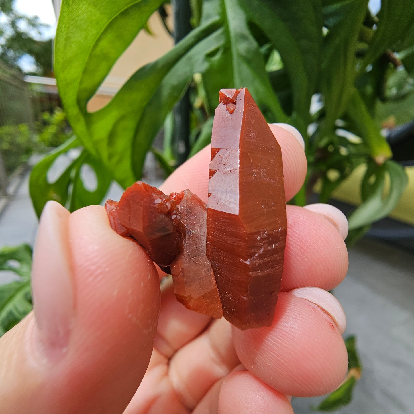 Red Quartz from Morocco #7i