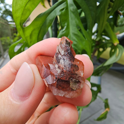 Red Quartz from Morocco #7i