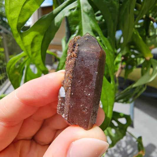 Red Quartz from Morocco #10L