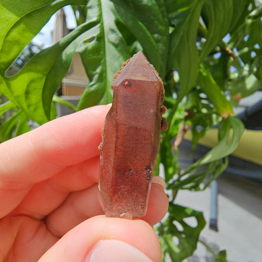 Red Quartz from Morocco #8F