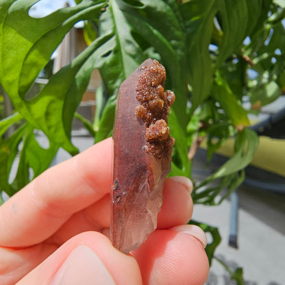 Red Quartz from Morocco #8F