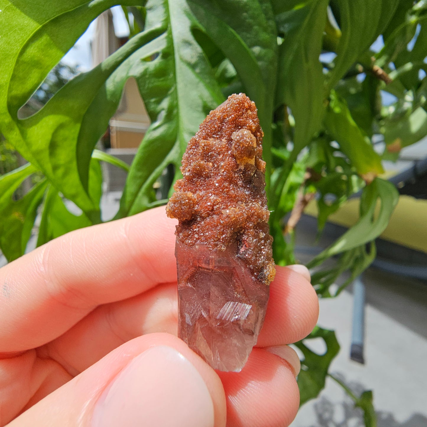 Red Quartz from Morocco #8F