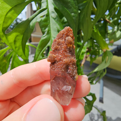 Red Quartz from Morocco #8F