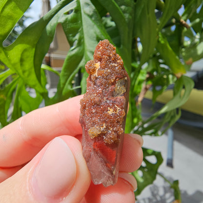 Red Quartz from Morocco #8F