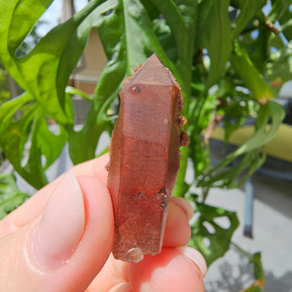 Red Quartz from Morocco #8F