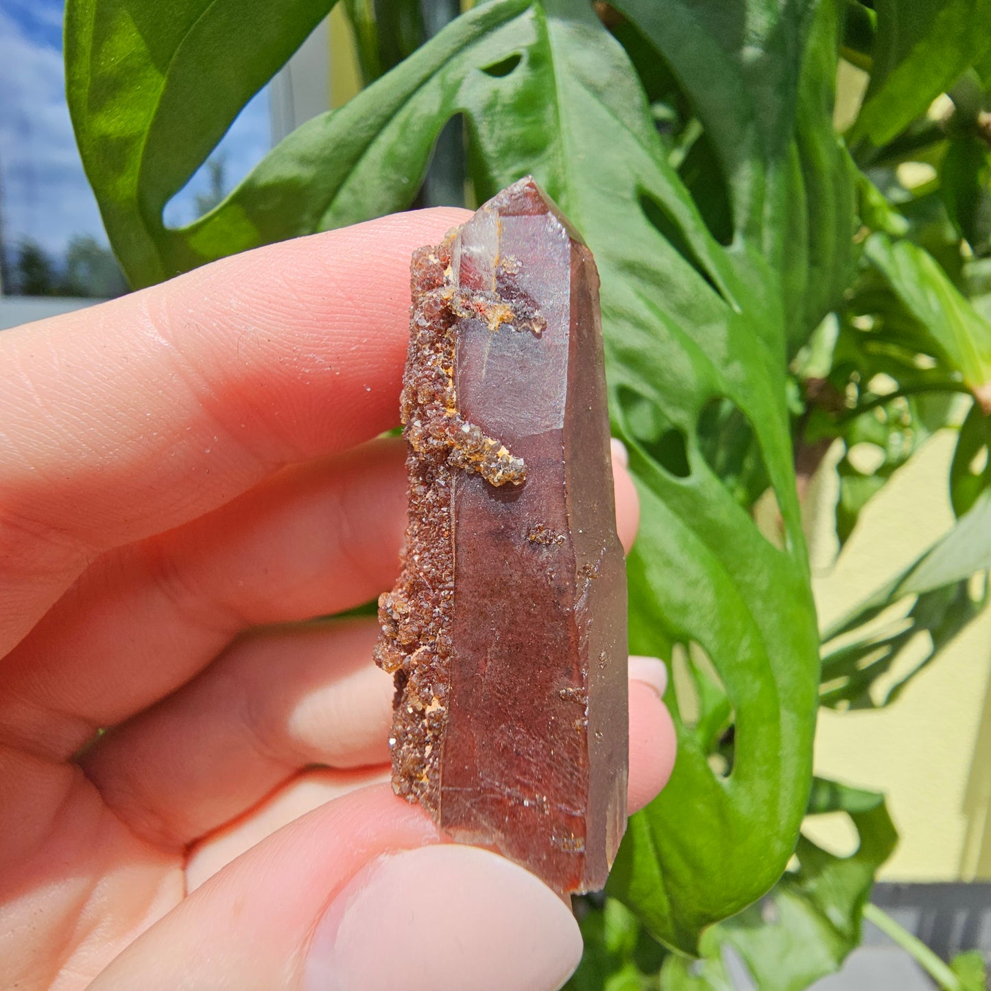 Red Quartz from Morocco #10K