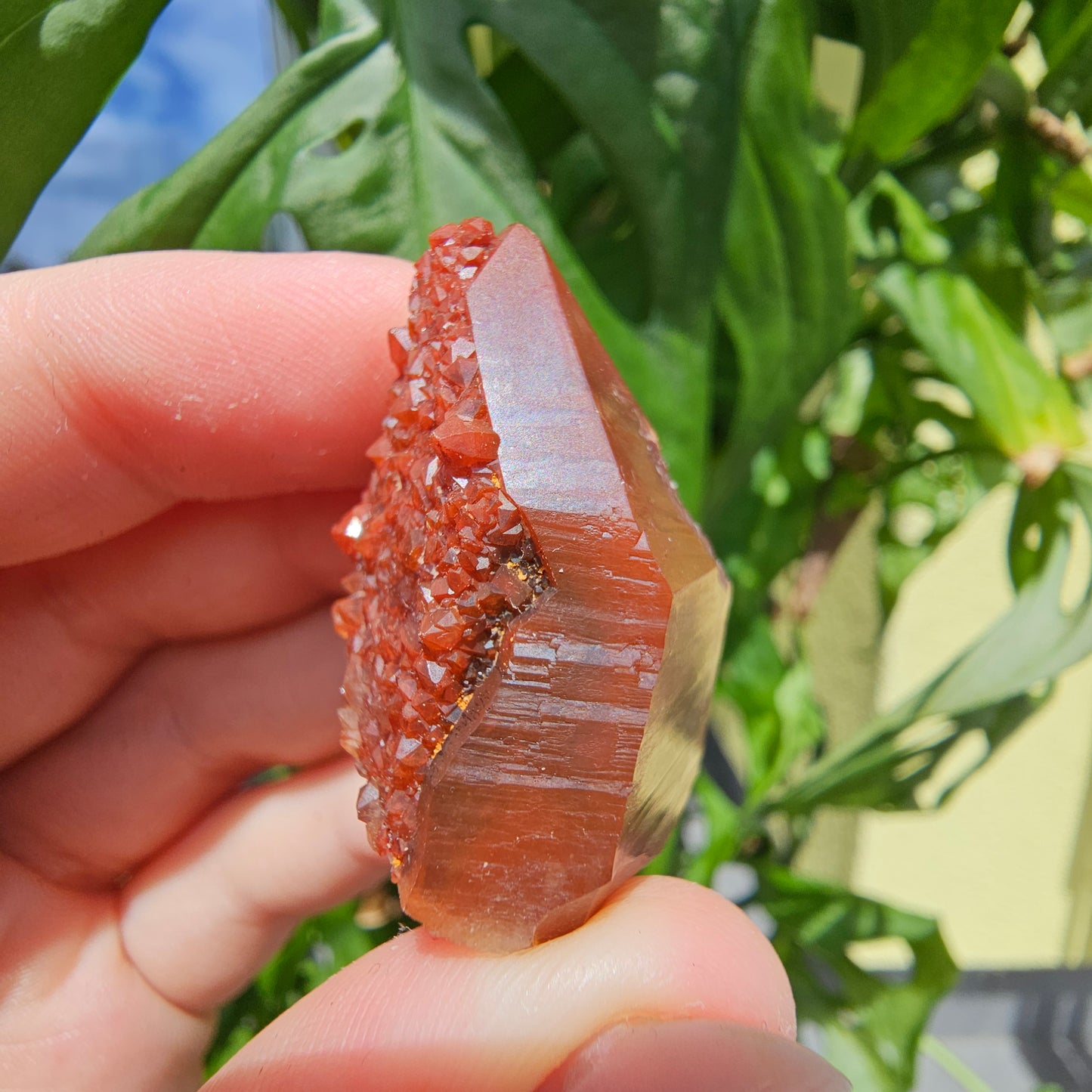 Red Quartz from Morocco #11f