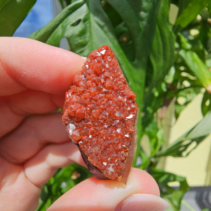 Red Quartz from Morocco #11f