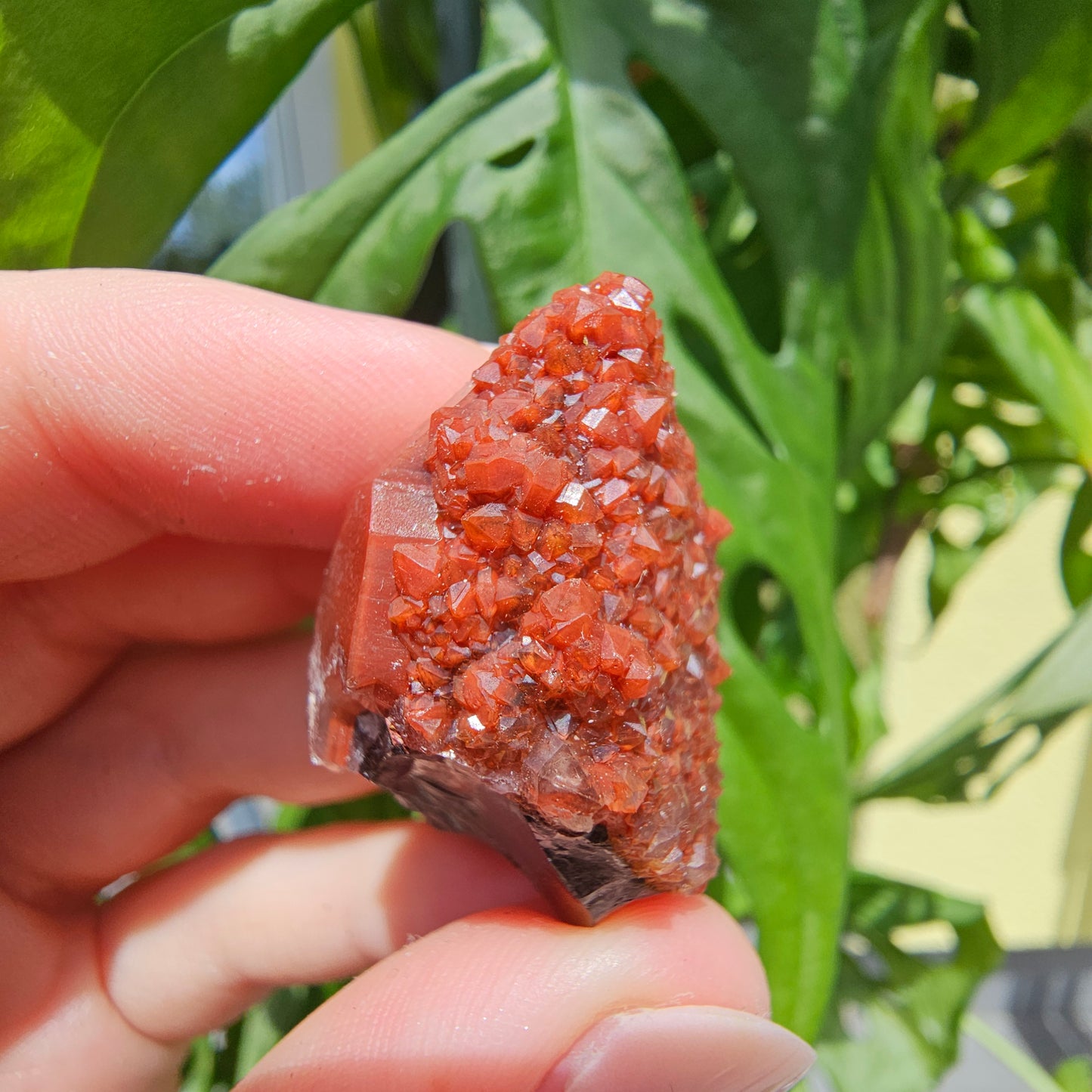 Red Quartz from Morocco #11f