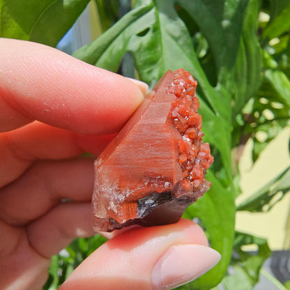 Red Quartz from Morocco #11f