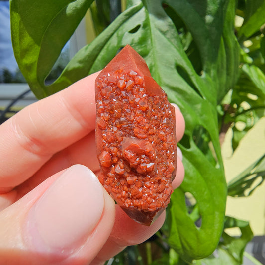 Red Quartz from Morocco #10S