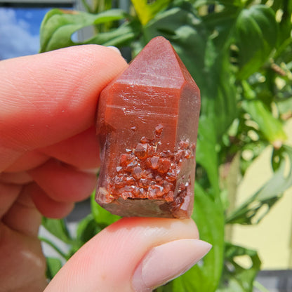 Red Quartz from Morocco #9o