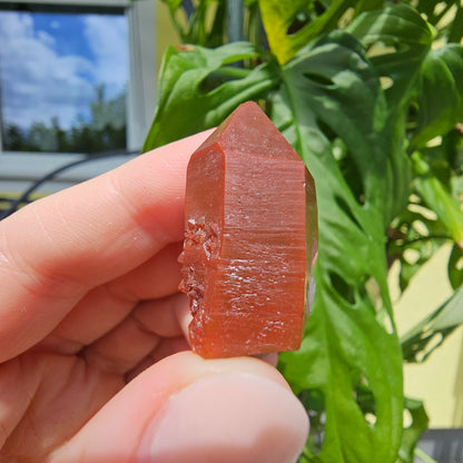 Red Quartz from Morocco #9o