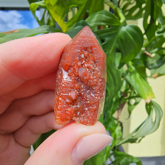 Red Quartz from Morocco #9N