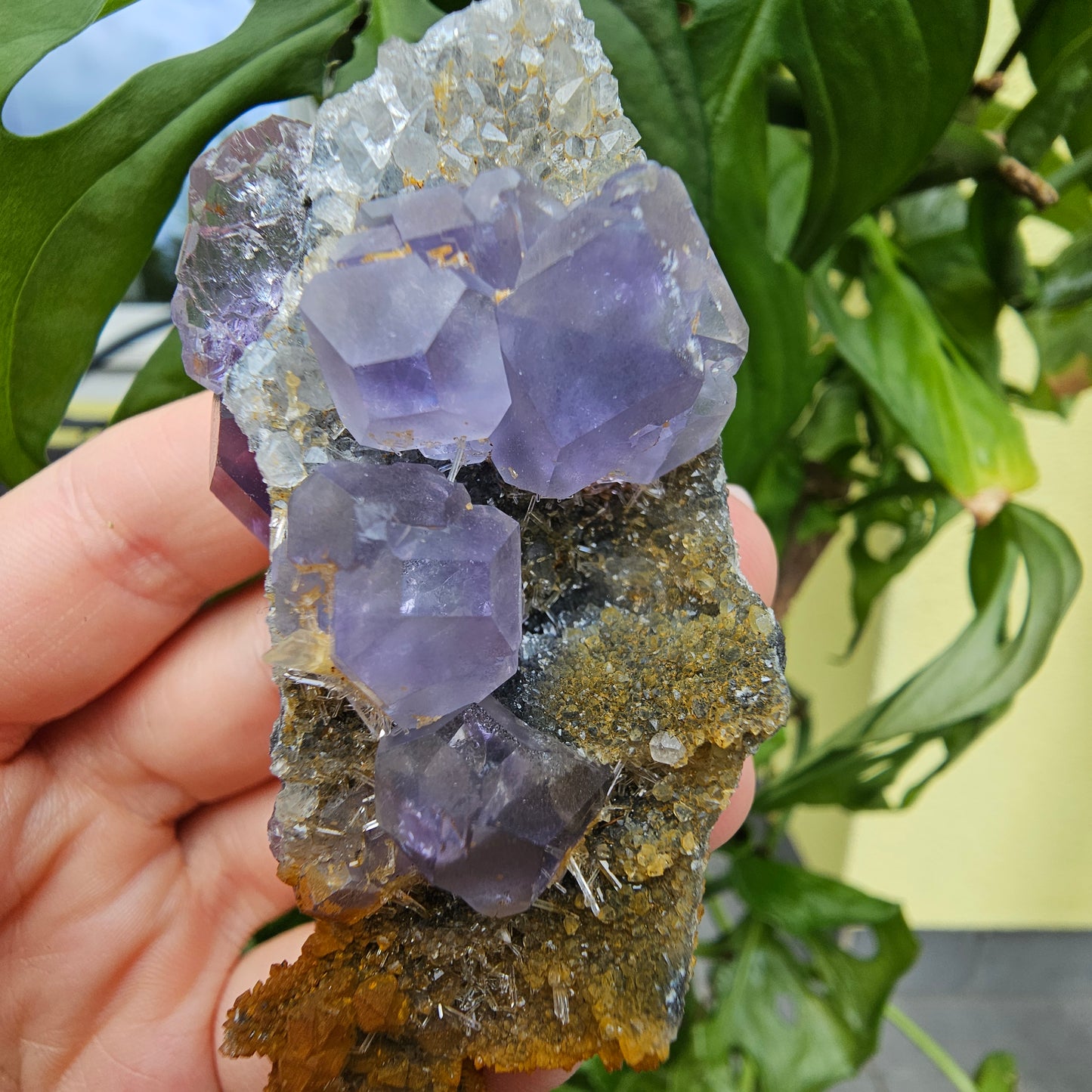 Purple Fluorite from Xiayang Mine #59A