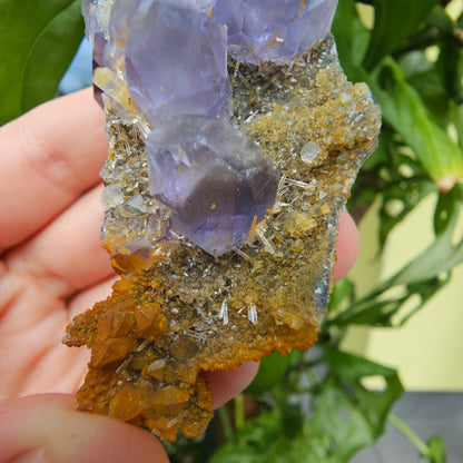 Purple Fluorite from Xiayang Mine #59A