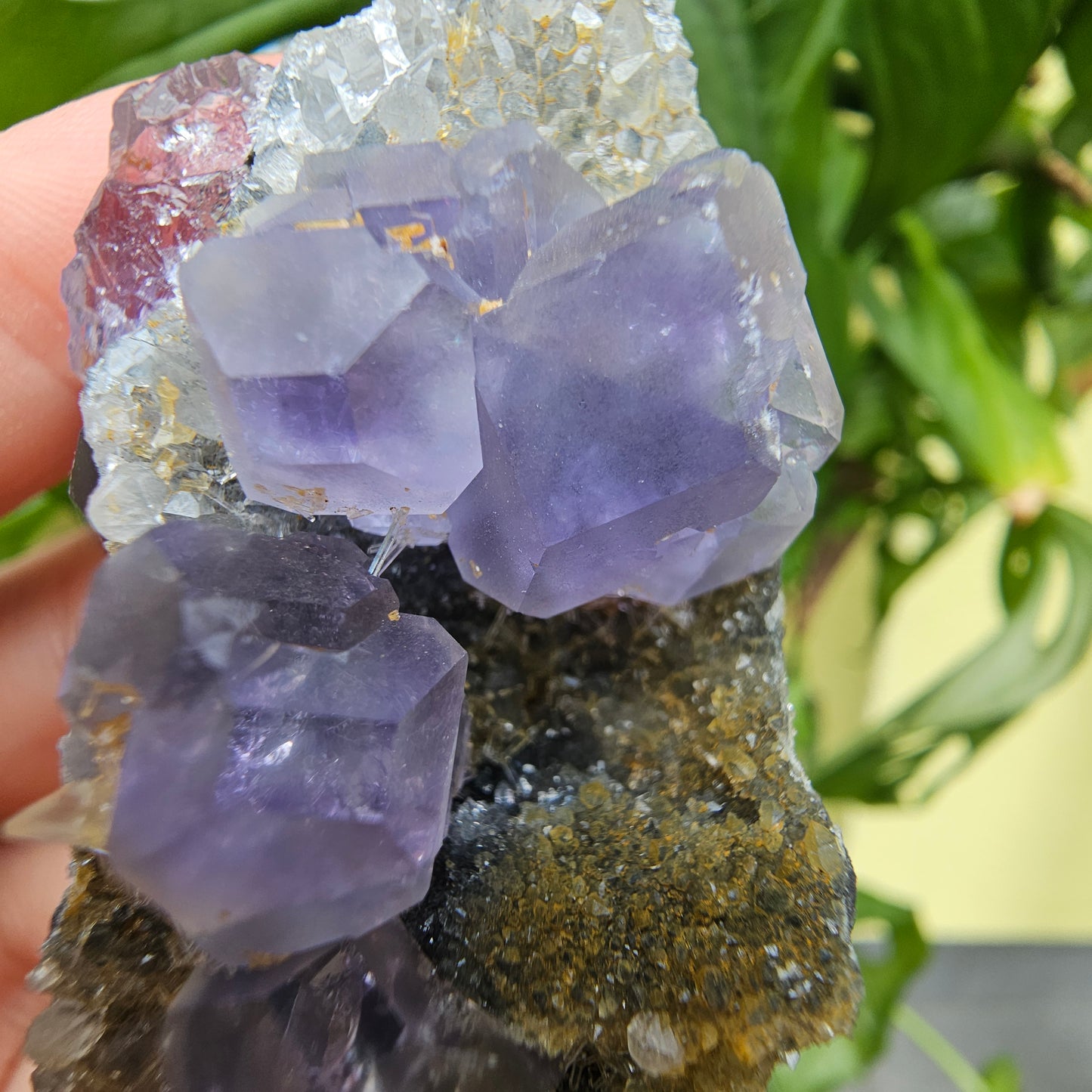 Purple Fluorite from Xiayang Mine #59A