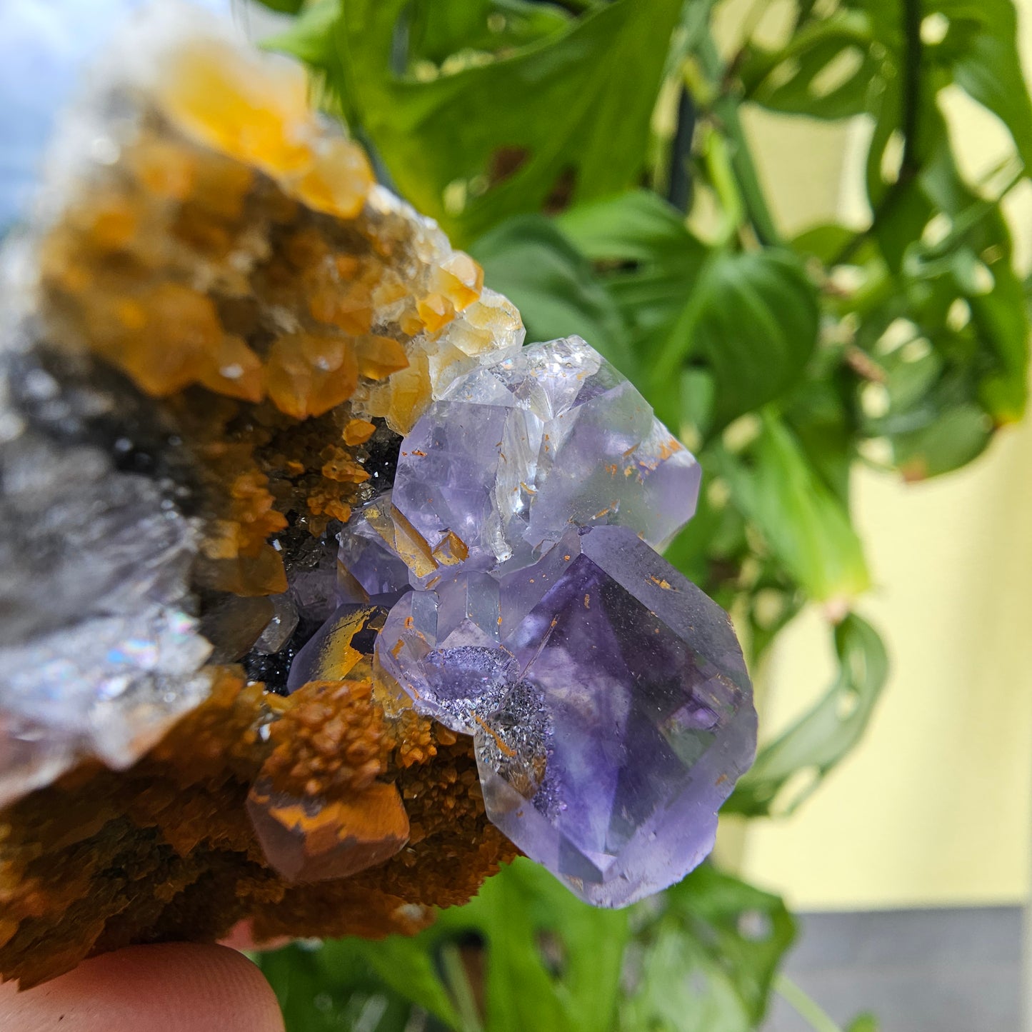 Purple Fluorite from Xiayang Mine #59A