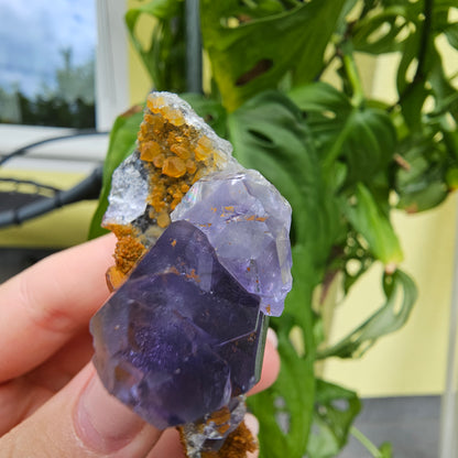 Purple Fluorite from Xiayang Mine #59A