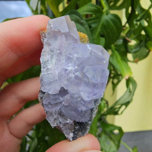 Purple Fluorite from Xiayang Mine #59C