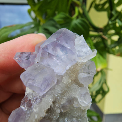 Purple Fluorite from Xiayang Mine #35E