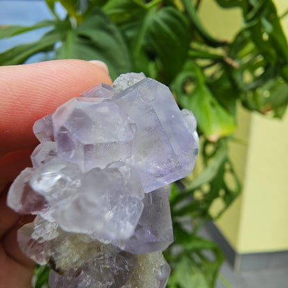 Purple Fluorite from Xiayang Mine #35E