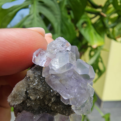 Purple Fluorite from Xiayang Mine #35E