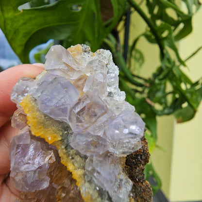 Purple Fluorite from Xiayang Mine #55F