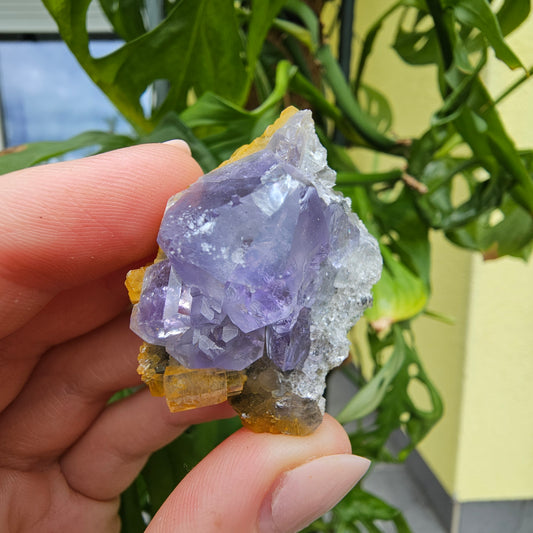 Purple Fluorite from Xiayang Mine #35G