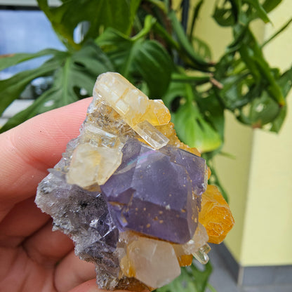 Purple Fluorite from Xiayang Mine #35G