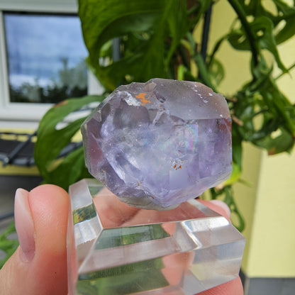 Purple Fluorite from Xiayang Mine #39J