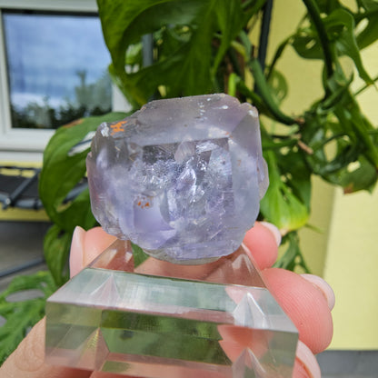 Purple Fluorite from Xiayang Mine #39J