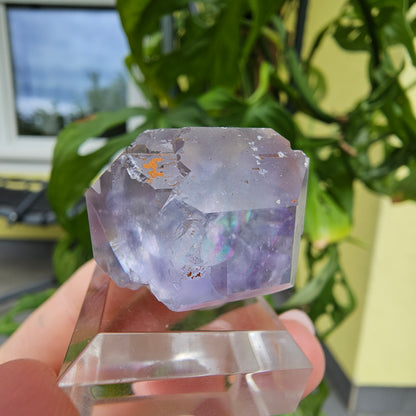 Purple Fluorite from Xiayang Mine #39J