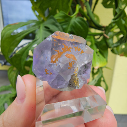 Purple Fluorite from Xiayang Mine #39J