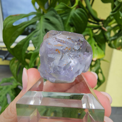 Purple Fluorite from Xiayang Mine #39J