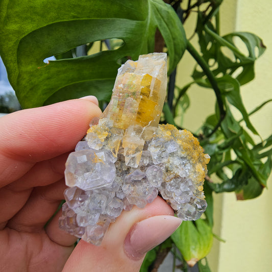 Purple Fluorite from Xiayang Mine #29K