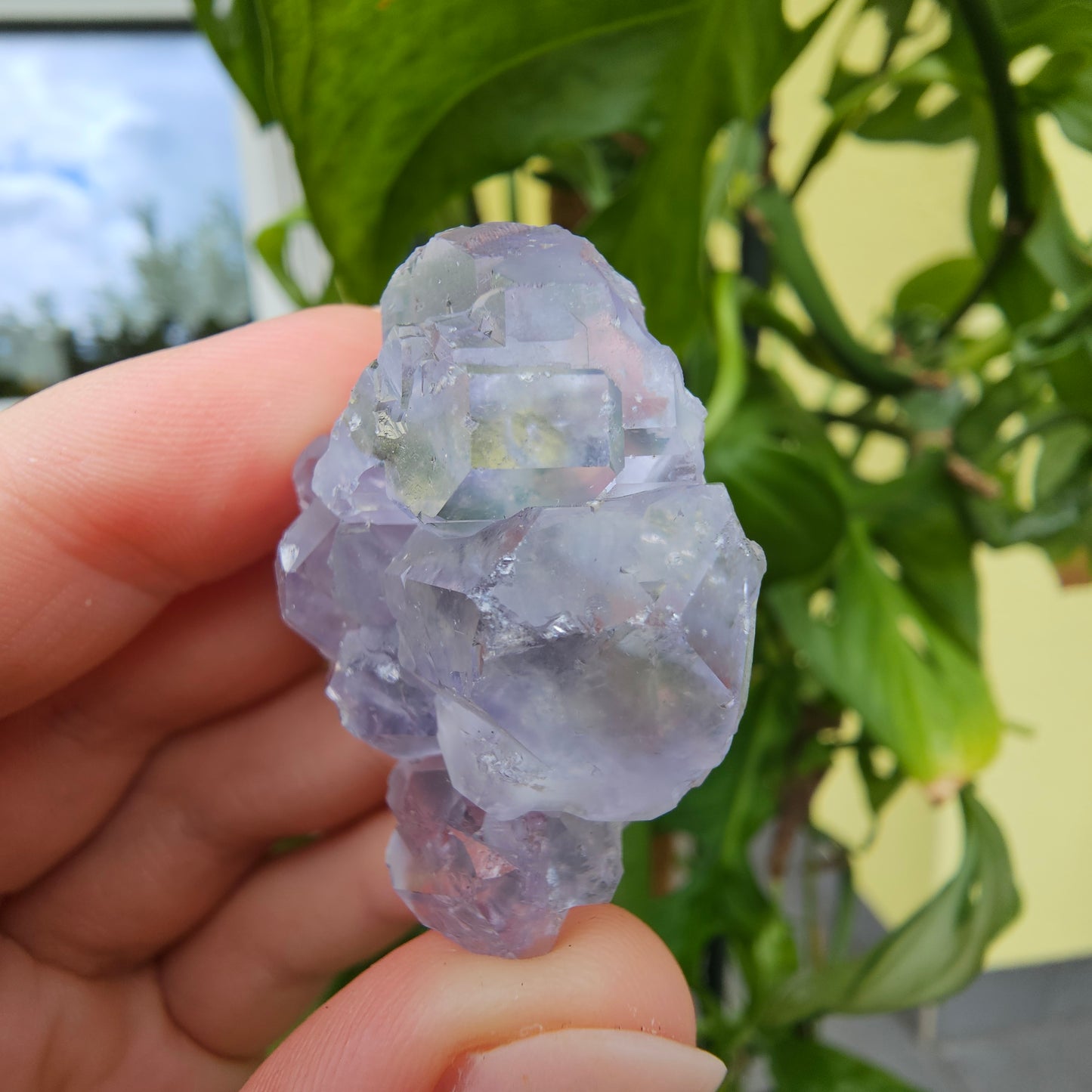 Purple Fluorite from Xiayang Mine #39M