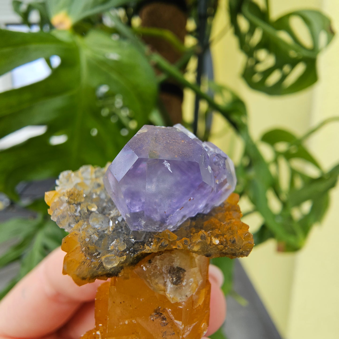 Purple Fluorite from Xiayang Mine #29V