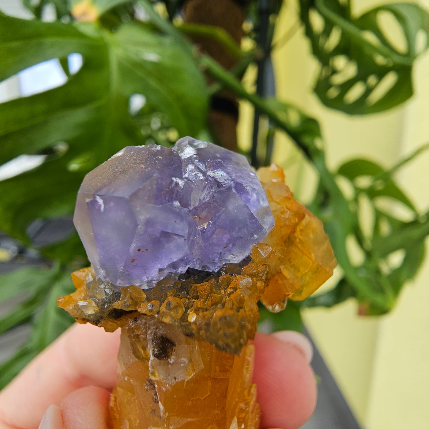 Purple Fluorite from Xiayang Mine #29V