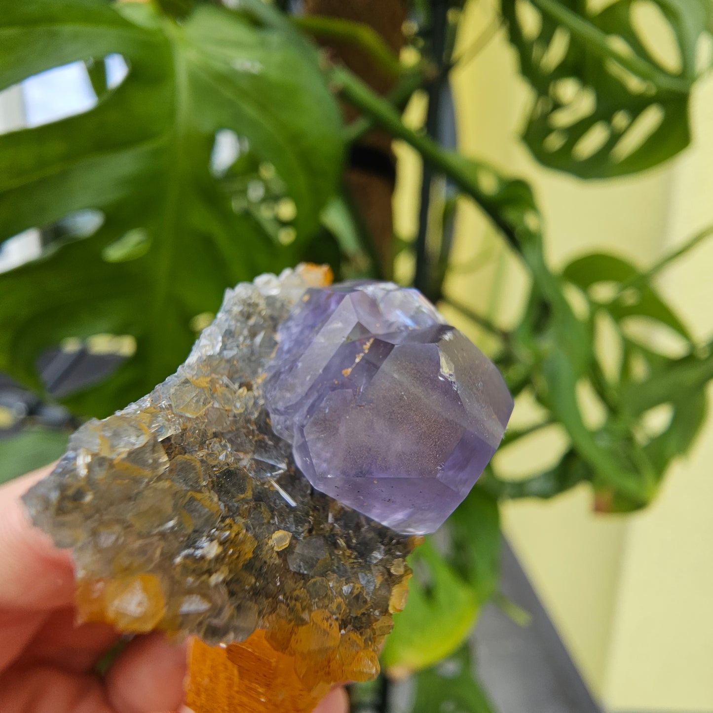 Purple Fluorite from Xiayang Mine #29V