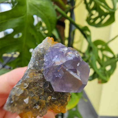 Purple Fluorite from Xiayang Mine #29V