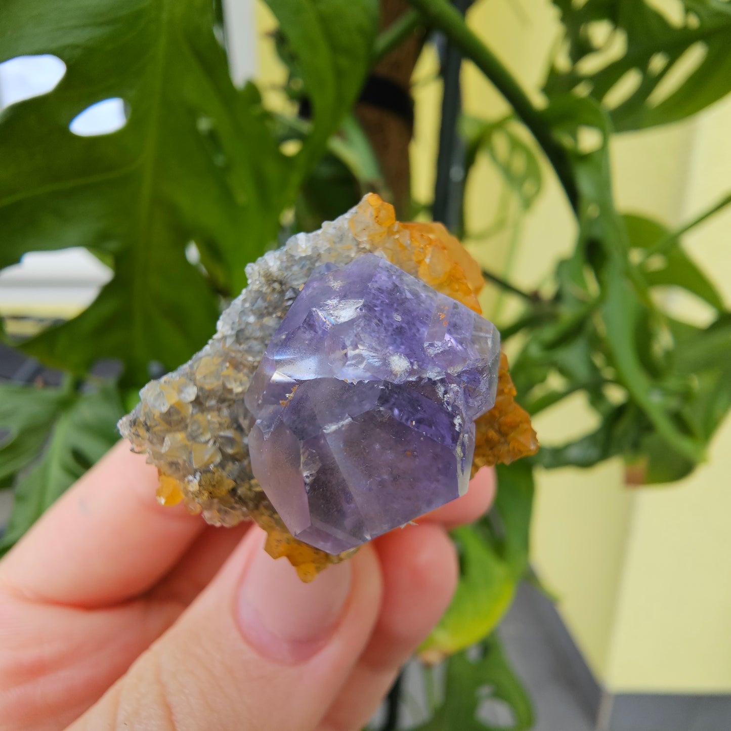 Purple Fluorite from Xiayang Mine #29V