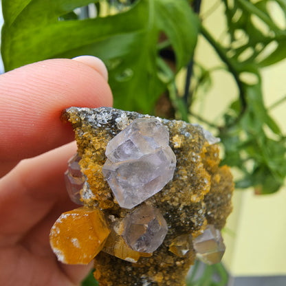 Purple Fluorite from Xiayang Mine #29X