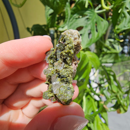 Epidote with Quartz Cluster #10D