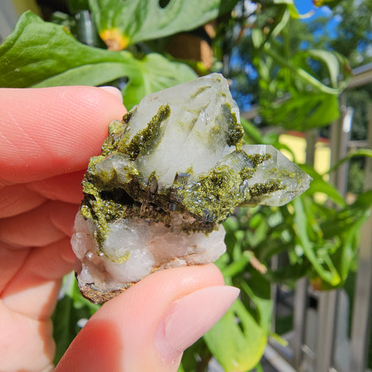 Epidote with Quartz Cluster #18F