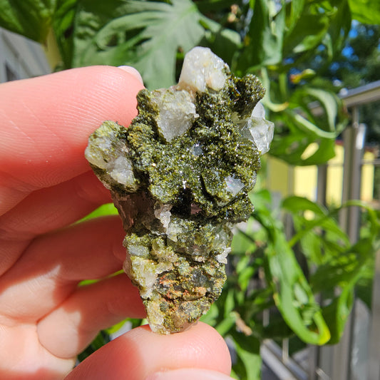 Epidote with Quartz Cluster #13K