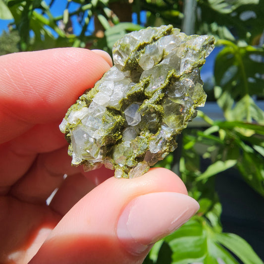 Epidote with Quartz Cluster #12N