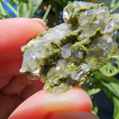 Epidote with Quartz Cluster #12N