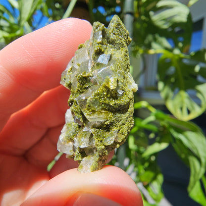 Epidote with Quartz Cluster #12N